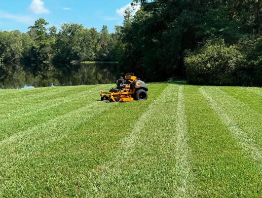 Freshly mowed lawn beside the water in Jacksonville