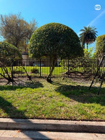 Boardman Lawncare freshly mowed and striped lawn