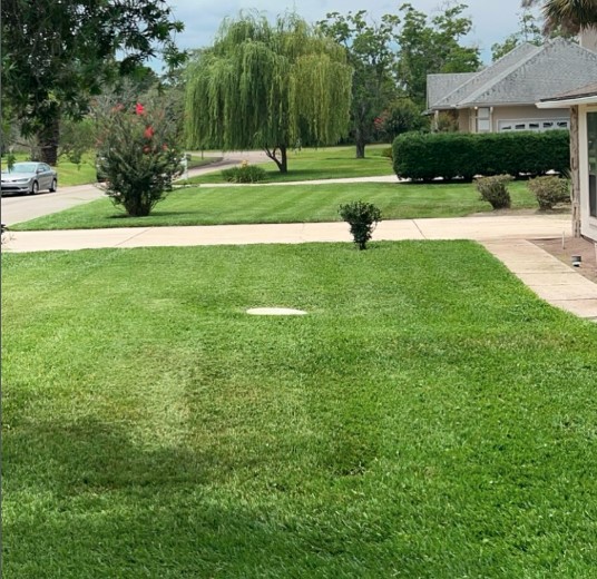 Boardman Lawncare freshly mowed and striped lawn