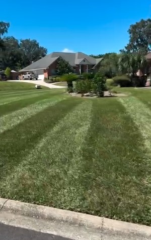 Boardman Lawncare freshly mowed and striped lawn